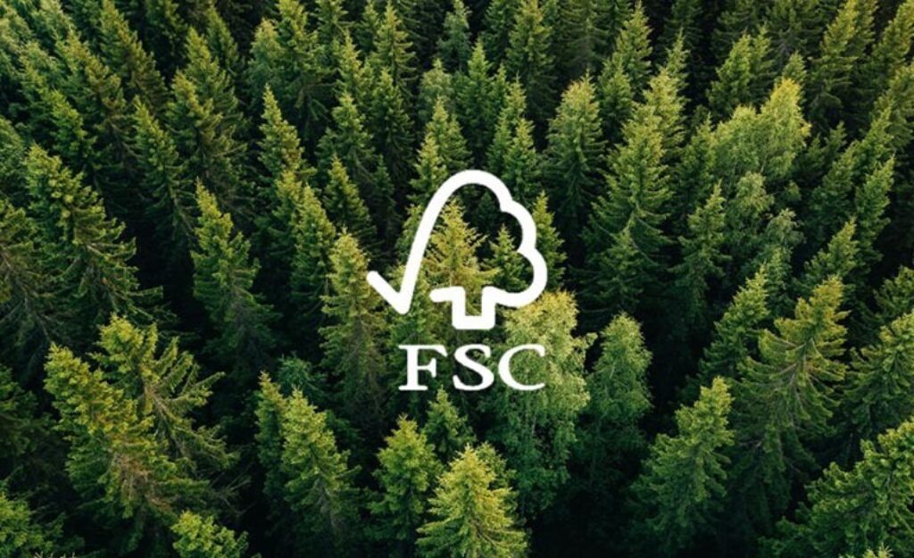 FSC la stampa ecosostenibile